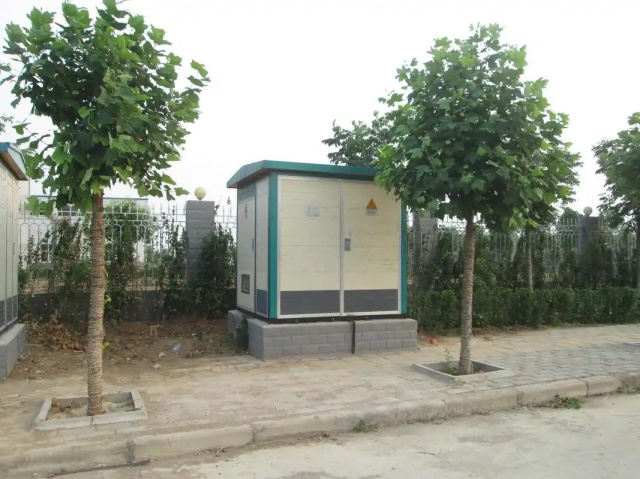 巴马1000KVA欧式箱式变压器